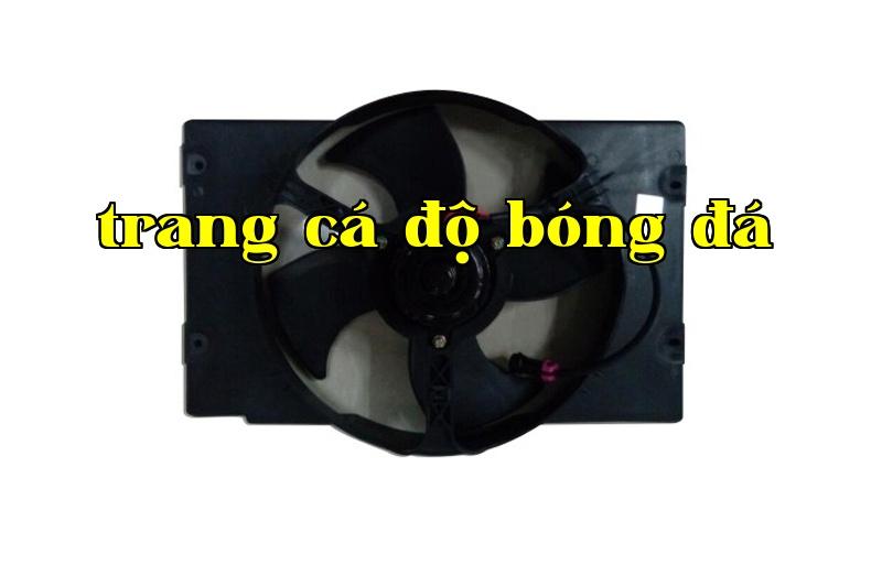 Quạt Đông An Hắc Báo